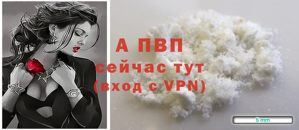 сатива Нязепетровск