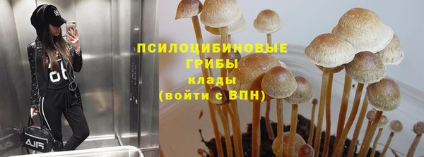 сатива Нязепетровск