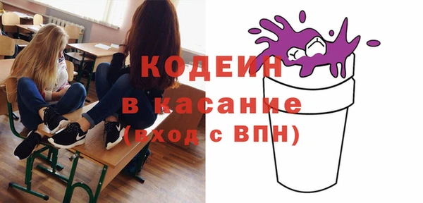 прущие грибы Няндома