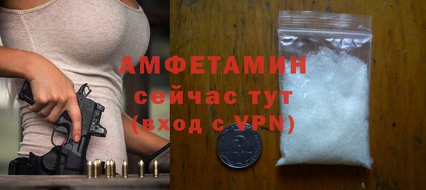 прущие грибы Няндома