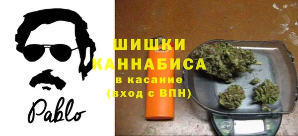 прущие грибы Няндома