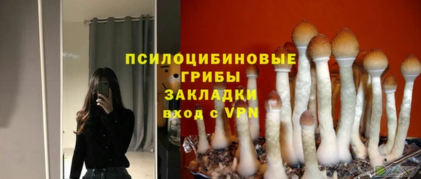 прущие грибы Няндома
