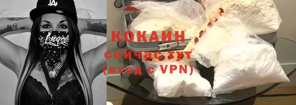 прущие грибы Няндома