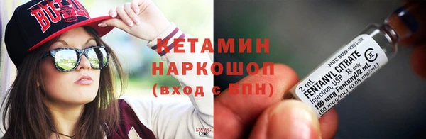 прущие грибы Няндома