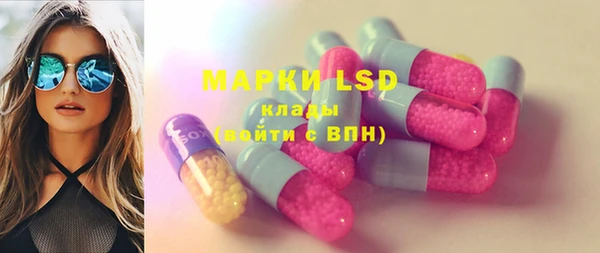 spice Бикин
