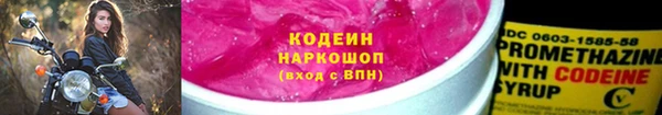 прущие грибы Няндома
