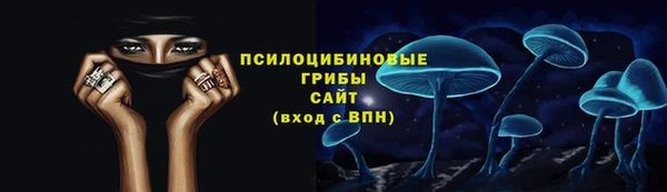 сатива Нязепетровск