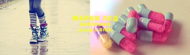 мяу мяу мука Беслан