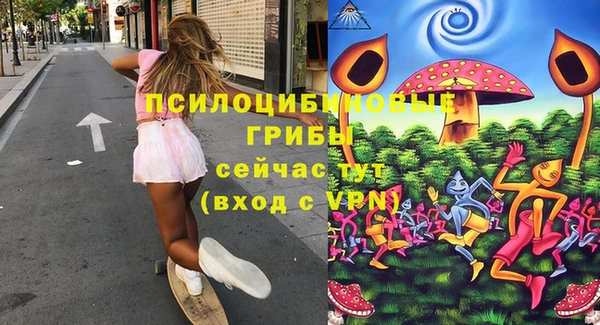 прущие грибы Няндома