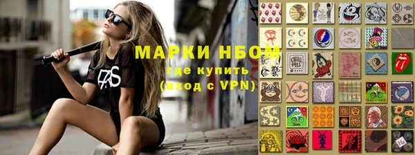 прущие грибы Няндома