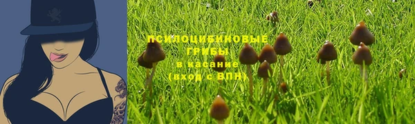 сатива Нязепетровск