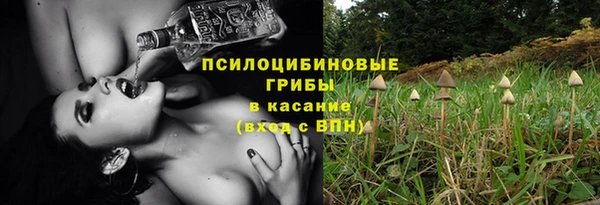 сатива Нязепетровск
