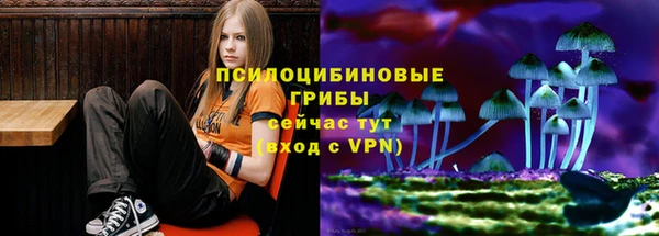 сатива Нязепетровск